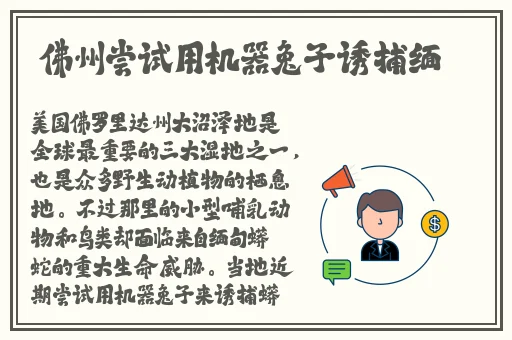 樱桃视频 大全免费观看