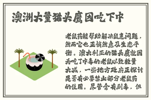 Free性丰满69性欧美